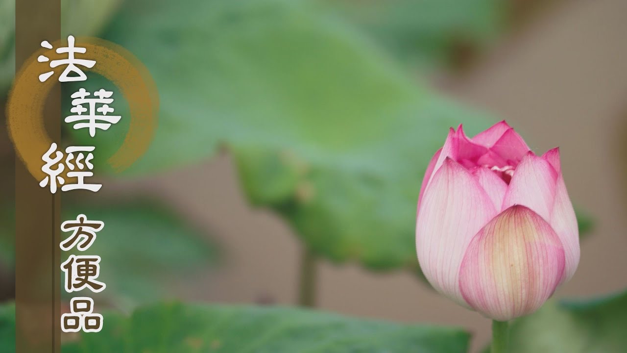 靜思妙蓮華 0625 勤修妙法入菩提 第349集 Youtube 靜思妙蓮華 0625 勤修妙法入菩提 第349集 Youtube
