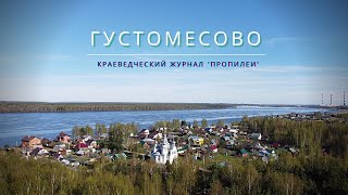 Густомесово | Волга по колено, средневековый крест и пышная церковь