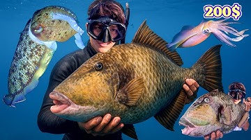 BỦN RỦN Tay Chân Khi Bắt Được Con Cá Bọc Thép Khổng Lồ Và Con Mực Nang 5KG | Thu Về 200$