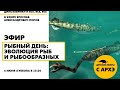 Эфир "Рыбный день: эволюция рыб и рыбообразных" в рамках рубрики "Динозаврики и все, все, все"