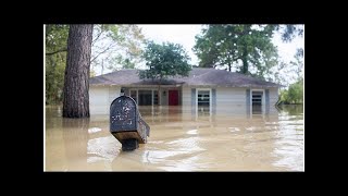 Test Cases for Addicks, Barker Flooding Are Moving Through the Courts