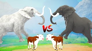 Black Elephant Vs White Elephant Vs Giant Bull Attack Cow Cartoon Buffalo Battle Stories Animal