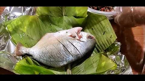 Ua Plab Qaib XYaw Ntses Cub Noj Qab Heev 4/24/2020