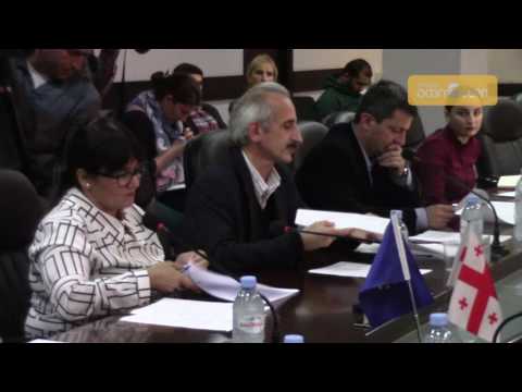 ზუგდიდის საკრებულომ რამდენიმე დადგენილებაში ცვლილებები შეიტანა