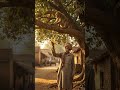 AI video#viral #youtube MrImran-t#viral suit