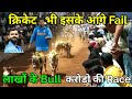 👍Dhoni-Hardik से भी ज़्यादा हिट Khillar Bull Race, इतना इनाम, इतना पैसा तो क्रिकेट में भी नहीं💥