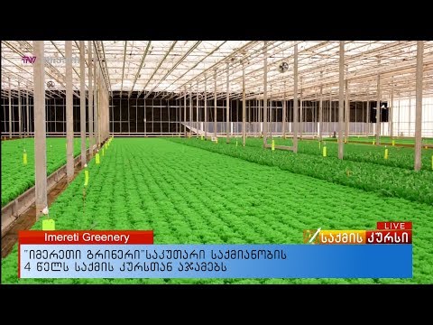 “იმერეთი გრინერი” საკუთარი საქმიანობის  4 წელს საქმის კურსთან   აჯამებს