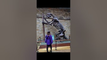 Animals that you are glad are extinct