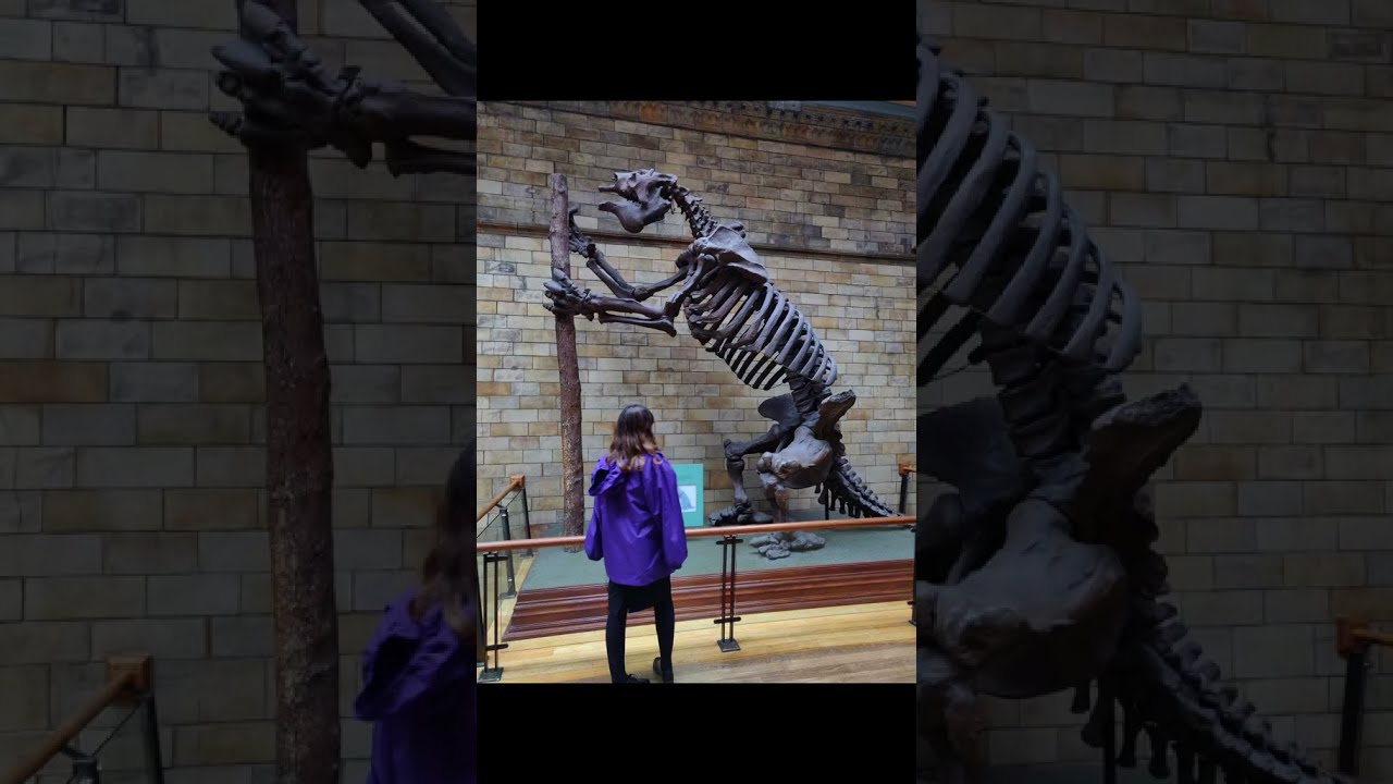 Animals That You Are Glad Extinct