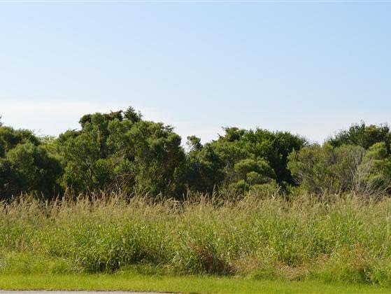 845 Heron Landing Wynd