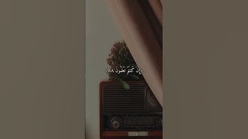 { قل من بيده ملكوت كل شيء } الشيخ ماهر المعيقلي منظر جميل تلاوه خاشعه