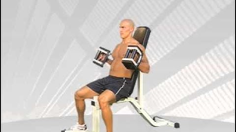PowerBlock Seated Hammer Curls