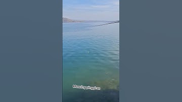 mancing ikan baronang #viralvideo #videoviral #mancing #mancingpinggiran #shorts #viral #video