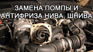 Замена водяного насоса помпы, замена охлаждающей жидкости (антифриза) Нива Шевроле