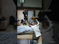 牧の満塁ホームラン再現【ゆび野球】