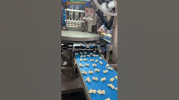 【小金鱼云吞机】 #dumplingmakingmachine #dumplingmaker #dimsumfrozen 400 pcs/min capacity !!!!