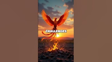 Embracing Evolution: A Journey of Transformation and Personal Growth