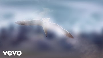 bendigai - Dear Dan Harmon