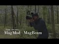 MagMod - MagBeam Wildlife Kit Review for Bird Photography
