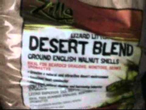video phone beyonce mp3 New Bearded Dragon Cage Setup & Cricket Update