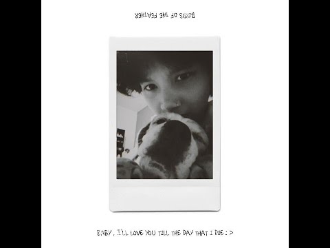 Birds Of A Feather Short Cover