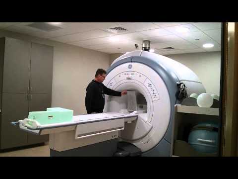 Video: Si Mund Të Ndihmojë Një MRI Qen Tuaj
