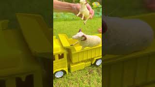 Dump Truck Wildlife transport - รถดั้มรับขนย้ายสัตว์ต่างๆ