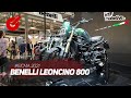 BENELLI LEONCINO 800 | EICMA 2021