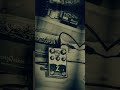 Opeth, Cats and new ZEQD Tube Preamp #cats #guitarpedals #opeth