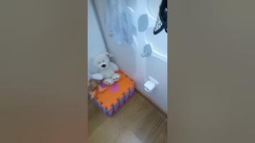 Koogeek P1EU No response Video 6