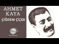 Çiğdem Çiçek (Ahmet Kaya)