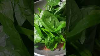 spinach in sardines shortsyoutube trending shortvideo cooking