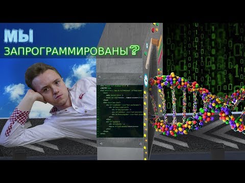 Видео: Как ДНК определя фенотипа на организма?