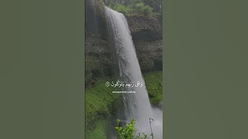 اكتب شيء تؤجر عليه ❤️ #قرآن #تلاوة_خاشعة #عبدالرحمن_مسعد #اكسبلور