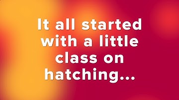 A Dozen Classes on Skillshare!