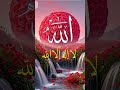 rAllah #Quran #islamic#short