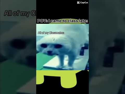 😫😫😫😫😫