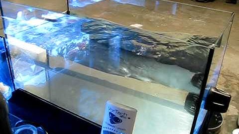 Vortech MP10 ES Wave Demonstration.AVI