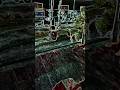 #instageam viral filter #newmusic #trending #new