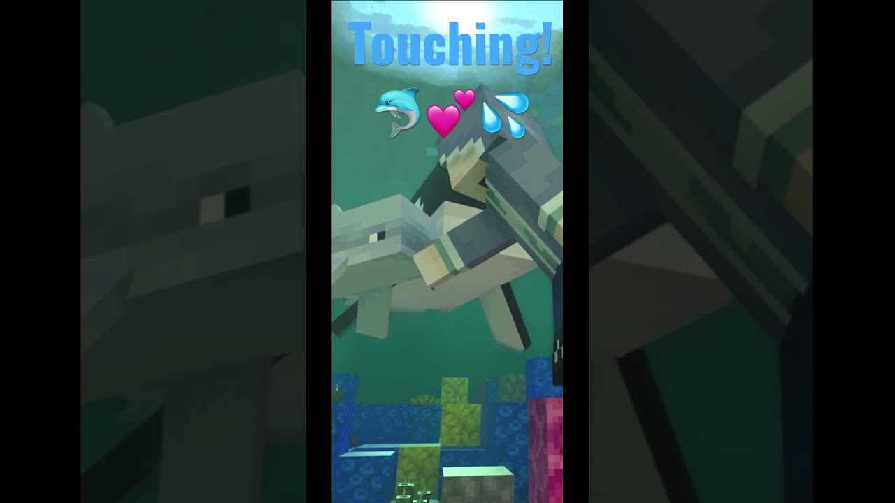 When you get to Touch a Dolphin for the first time! Minecraft Dolphin Trainer Addon!🐬💕💦🤗😁