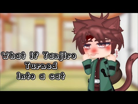What if Tanjiro turned into a cat!..(No Ships) Read Description!