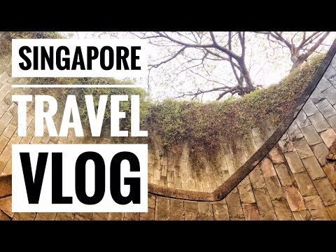 รีวิวเที่ยวสิงคโปร์2018 Singapore Travel  VLOG #7