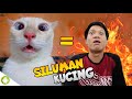 MENJADI KUCING KEBAIKAN ADALAH JALAN KUCINGKU!!! Cat Simulator [SUB INDO] ~Bar2 Tapi Demi Kebaikan!!