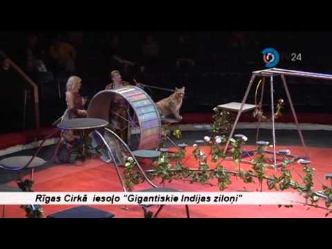 Video: Aizkustinoši Ziloņi: Pārdomas No Šrilankas - Matador Tīkla