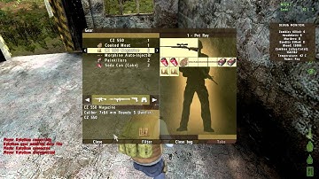 How 2 DayZ: carry two primary weapons