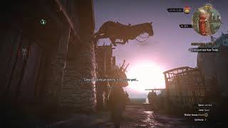 Roach can fly now | witcher 3 glitch