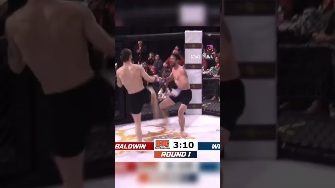 1st Round TKO.  Pro MMA Debut. 