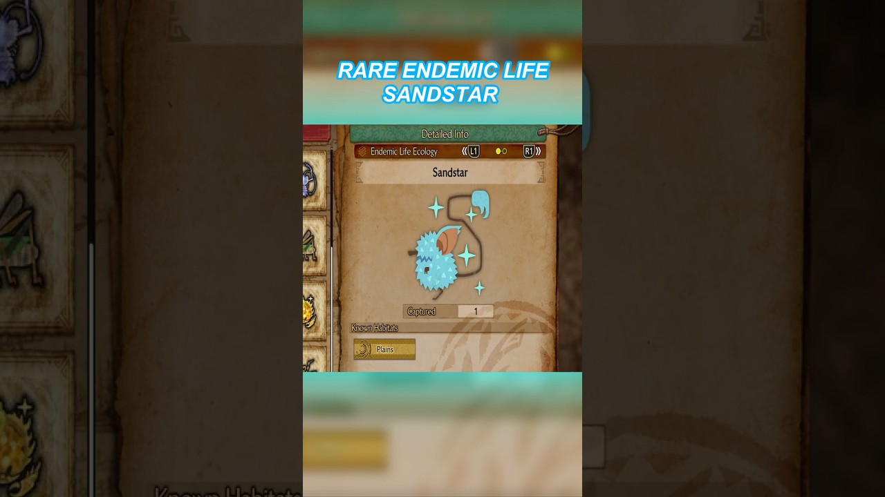 Rare Endemic Life Sandstar 
