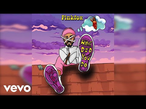 PinkFox - W.D.Y.D (What Did You Do) (Audio)