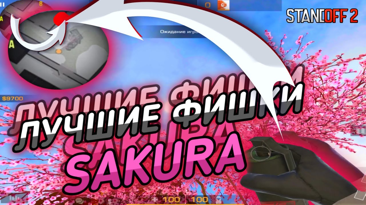 Карта сакура стандофф 2